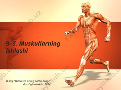 muskullarning ishlashi. 8 - sinf — PPTX