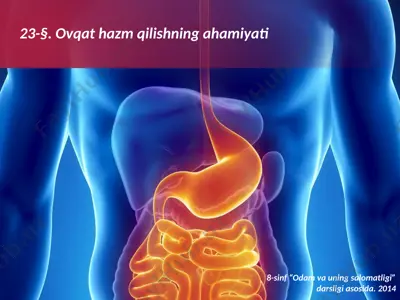 ovqat hazm qilishning ahamiyati. 8 - sinf — PPTX