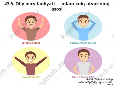 oliy nerv faoliyati — odam xulq-atvorining asosi. 8 - sinf — PPTX