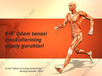 odam tanasi muskullarining asosiy guruhlari. 8 - sinf — PPTX