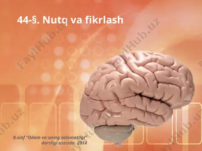 nutq va fikrlash. 8 - sinf — PPTX