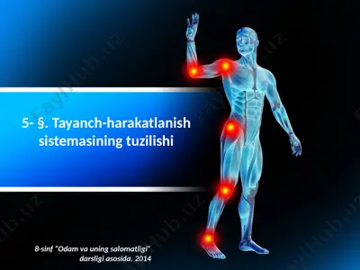 tayanch-harakatlanish sistemasining tuzilishi. 8 - sinf — PPTX