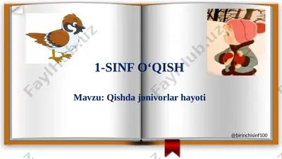 1-sinf o‘qish qishda jonivorlar hayoti@birinchisinf100 — PPTX