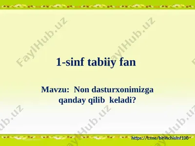 1-sinf tabiiy fan 17-dars @birinchisinf100 — PPTX