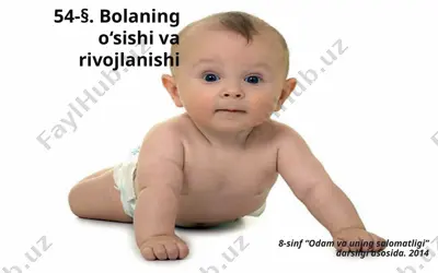 bolaning o‘sishi va rivojlanishi. 8 - sinf — PPTX