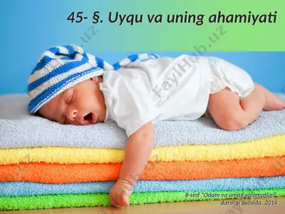 uyqu va uning ahamiyati. 8 - sinf — PPTX
