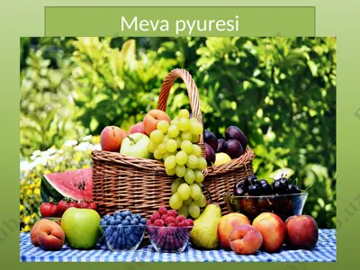 meva pyuresi — PPTX