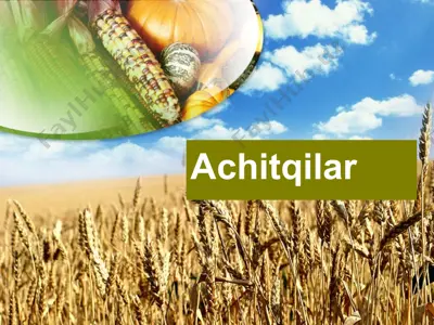 achitqilar — PPTX