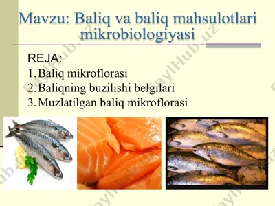 baliq va baliq mahsulotlari mikrobiologiyasi — PPTX