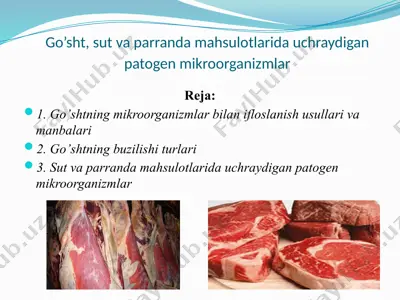 go’sht, sut va parranda mahsulotlarida uchraydigan patogen mikroorganizmlar — PPTX