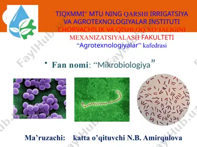 sut mikrobiologiyasi — PPTX