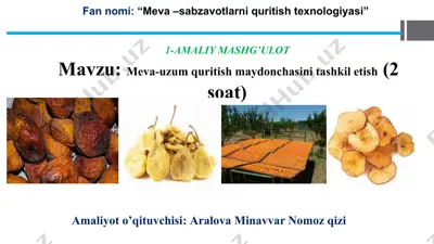 meva-uzum quritish maydonchasini tashkil etish — PPTX