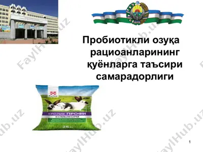 пробиотикли озуқа рациоанларининг қуёнларга таъсири самарадорлиги — PPTX