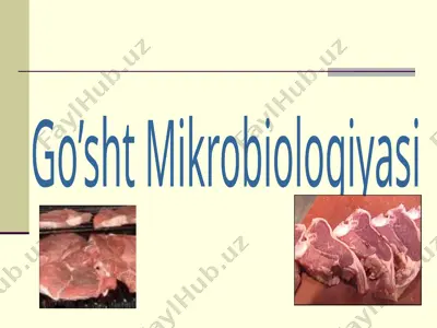 go’sht mikrobiologiyasi 2 — PPTX