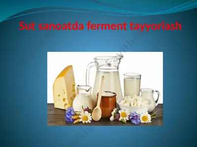 sut sanoatda ferment tayyorlash — PPTX