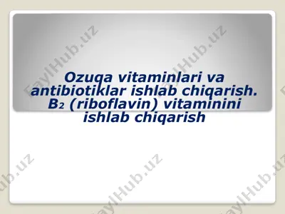 ozuqa vitaminlari va antibiotiklar ishlab chiqarish. b2 (riboflavin) vitaminini ishlab chiqarish — PPTX