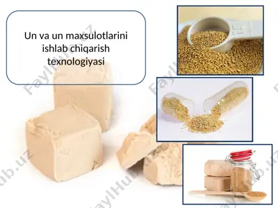un va un maxsulotlarini ishlab chiqarish texnologiyasi — PPT