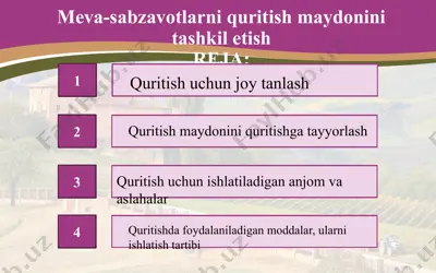 meva-sabzavotlarni quritish maydonini tashkil etish — PPTX