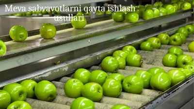 meva sabvavotlarni qayta ishlash usullari — PPTX