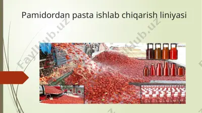 pamidordan pasta ishlab chiqarish liniyasi — PPTX