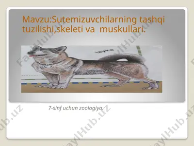 itning tashqi tuzilishi (2) (1) — PPTX