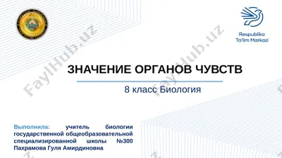 1.znachenie organov chuvstv (2) — PPTX