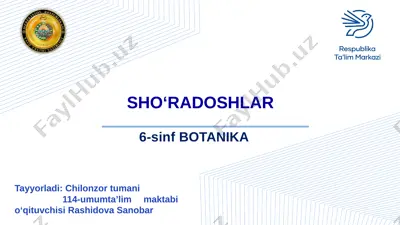 sho'radoshlar oilasi — PPTX