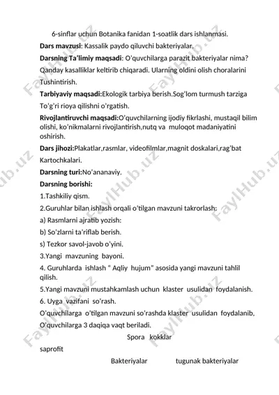 ochiq dars 6 sinf — DOCX