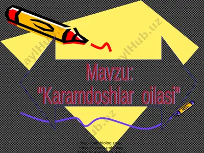 karamdoshlar oilasi@nambiolog.zn.uz — PPT