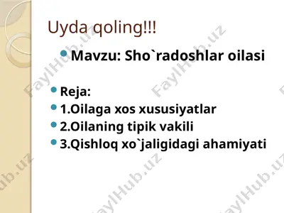 sho'radoshlar oilasi — PPTX