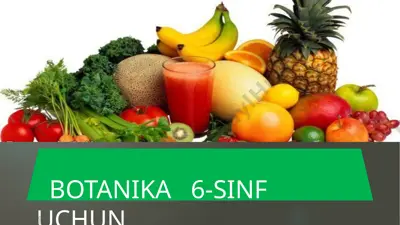 ra'nodoshlar oilasi — PPTX