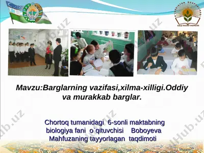 barg tuzilishi — PPT