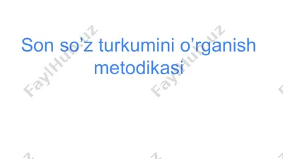 son so’z turkumini o’rganish metodikasi — PPTX