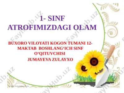 1- sinf atrofimizdagi olam — PPTX