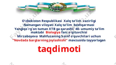 novda (1) — PPTX
