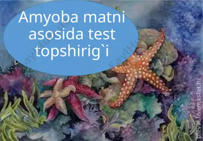 3-s.amyoba matni asosida test — PPTX