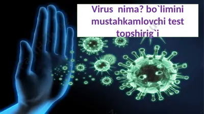3-sinf.test — PPTX