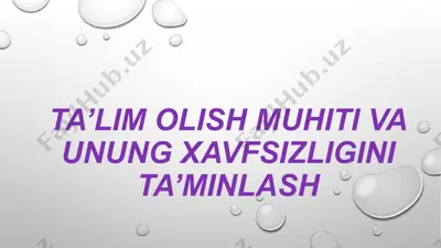 ta’lim olish muhiti va unung xavfsizligini ta’minlash — PPTX