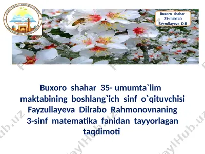 2_5264958700291887017 — PPTX