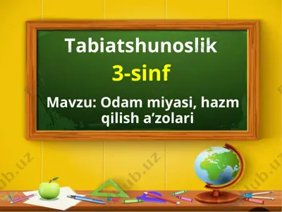 3 sinf tabiatshunoslik 5-dars — PPT
