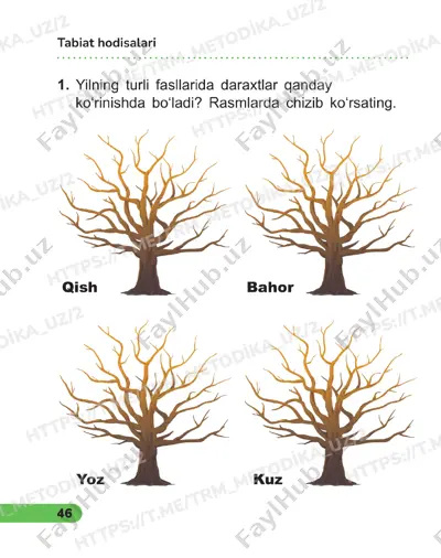 tabiiy fanlar 2sinf daftar 21-22 dars — PDF
