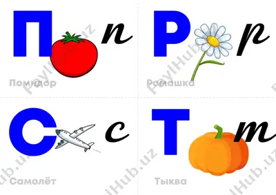 17 — PDF