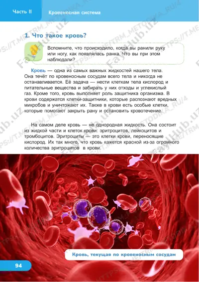 estestvoznanie 4 klass uroki 23_24 — PDF