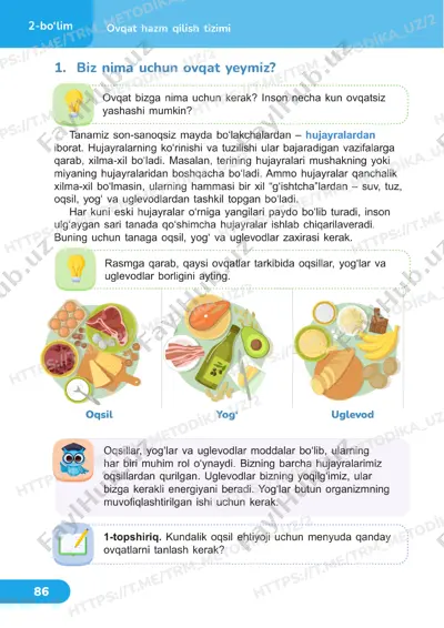 tabiiy fanlar 4 sinf darslik 21-22 dars — PDF