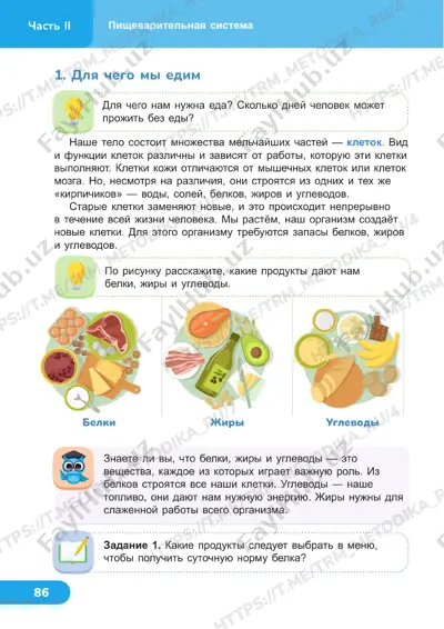 estestvoznanie 4 klass uroki 21_22 — PDF