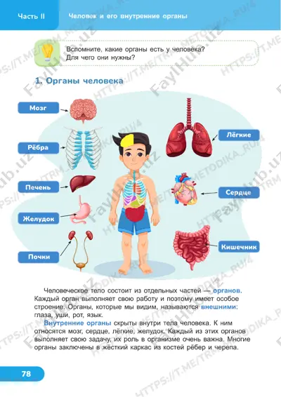 4 klass uchebnik 19-20 uroki — PDF