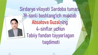 miya va asab tizimi.4-sinf. absatova guzal — PPTX
