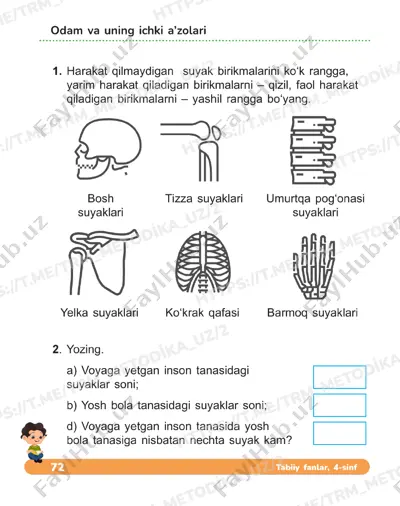 4 sinf tabiiy fanlar daftari 19_20 dars — PDF