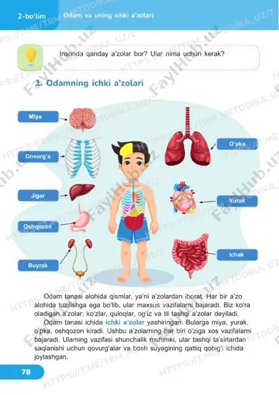 4 sinf tabiiy fan darslik 19-20 dars — PDF