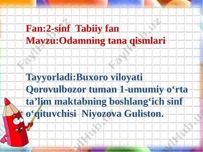 2-sinf tabiiy fan — PPTX